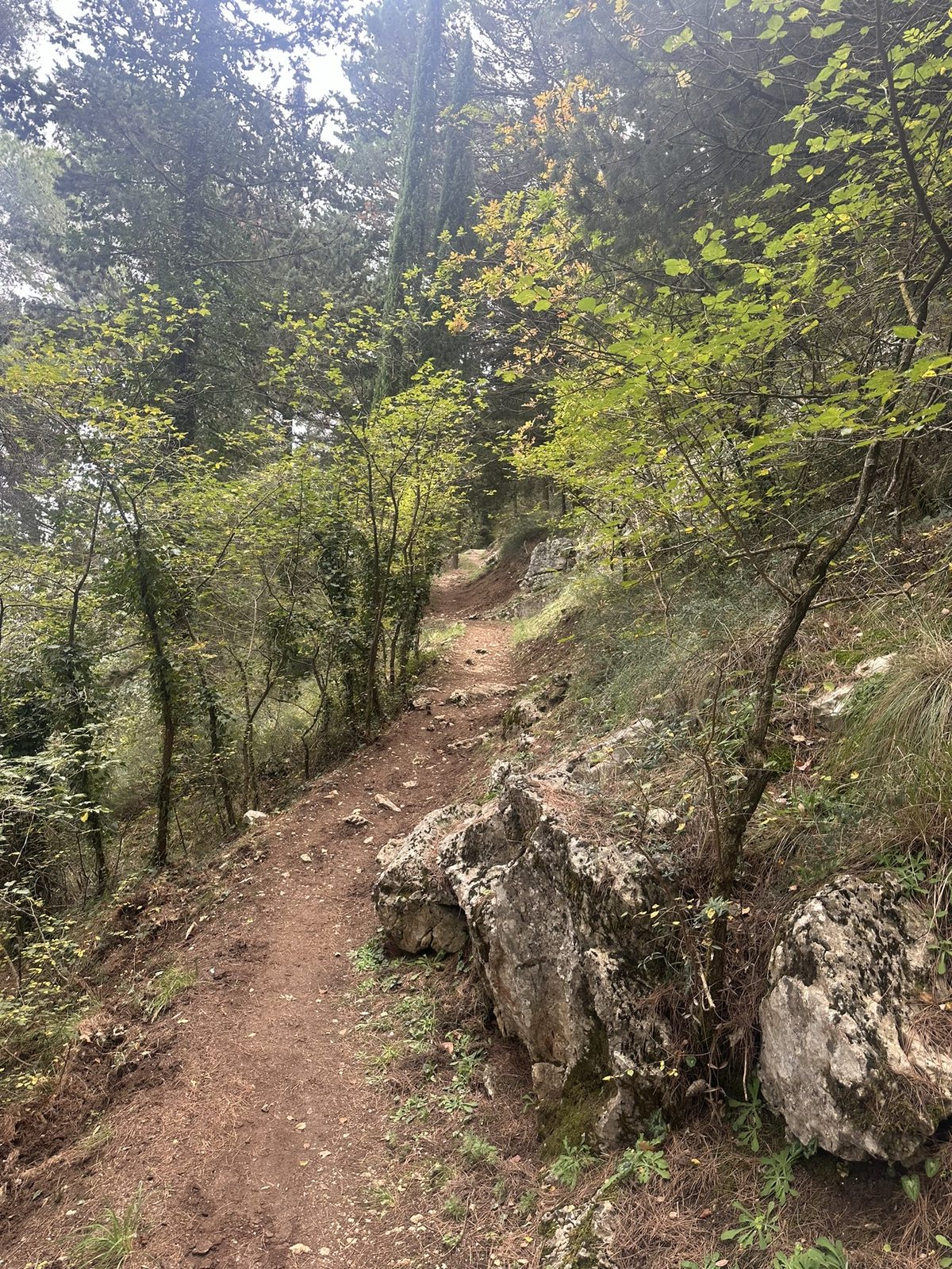Mountain trail in winter